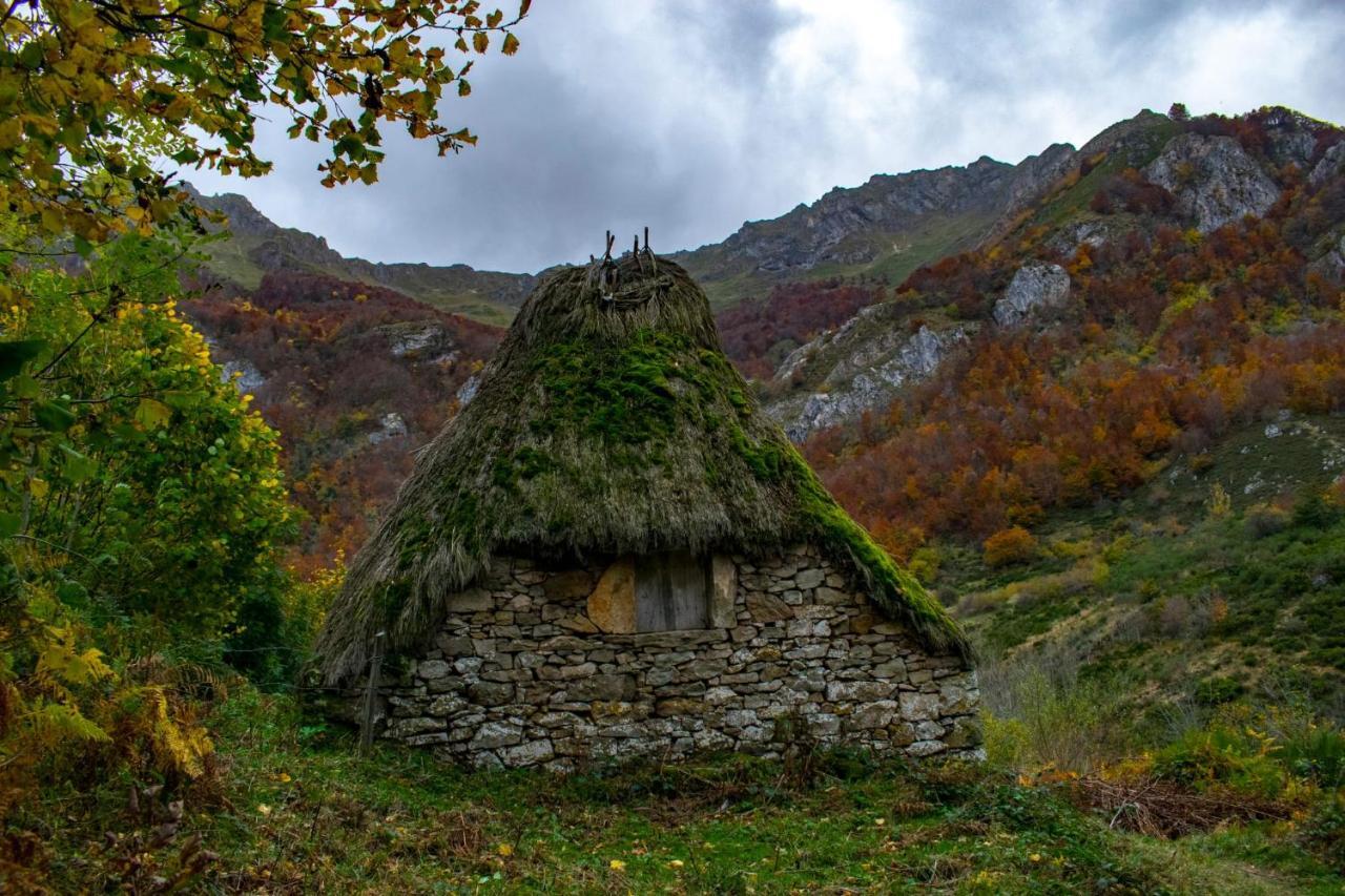 Casa Serafo *