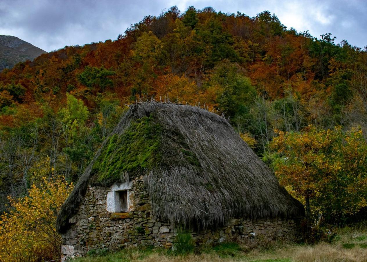 Casa Serafo *